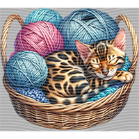 Animal Integration-DW 669